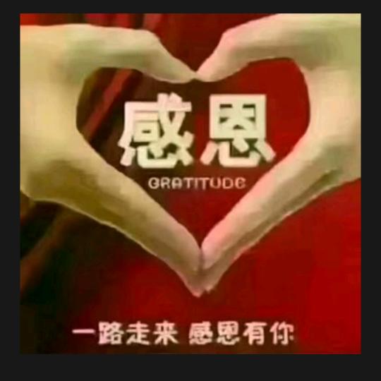 拼命三娘