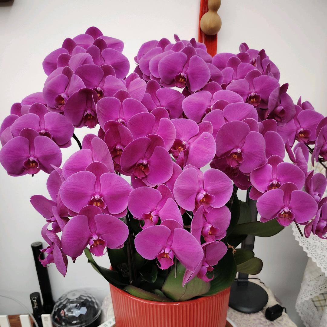 老三烤鱼烧烤小龙虾炒菜