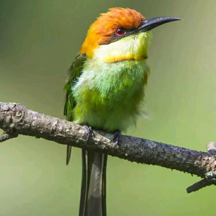 无所屌谓😬忍忍