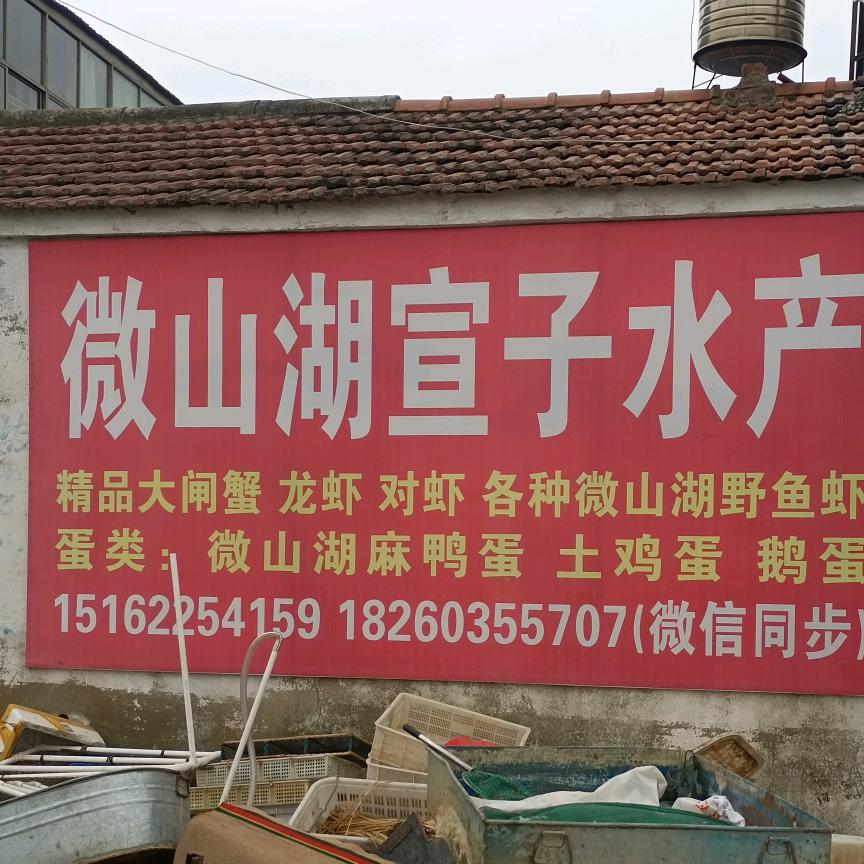 宣子水产（姜小姐）