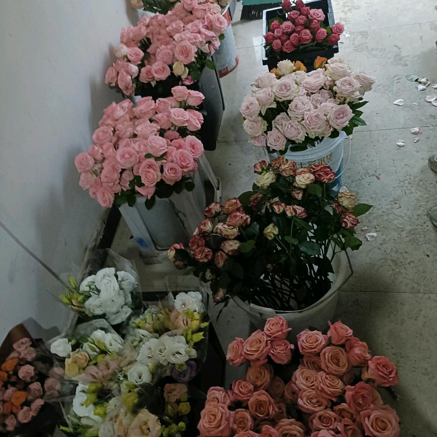 忘掉过去，重新开始