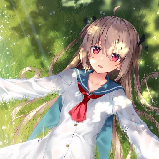 樹.