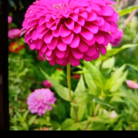 ❤️往事💞清零🍒