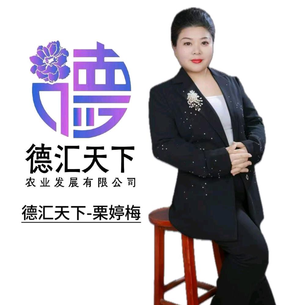 德汇天下_栗婷梅
