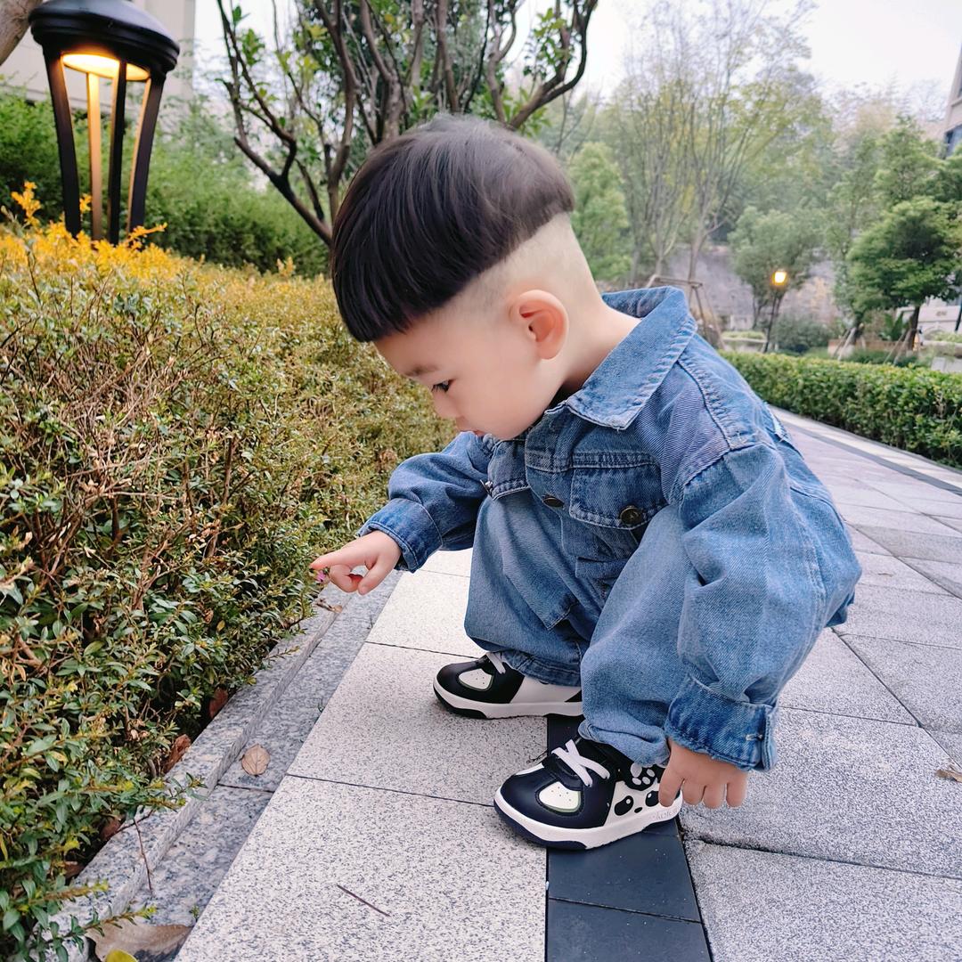 🌱ᐝ上上🕊簽༊l