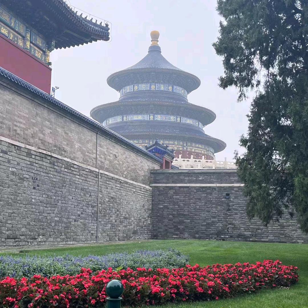 自由翱翔