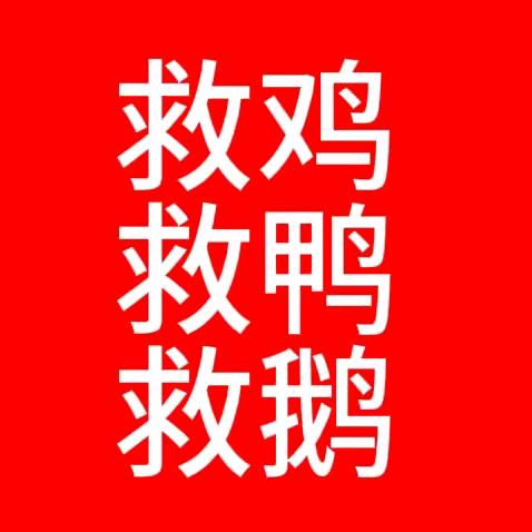 用蔚蓝夏日