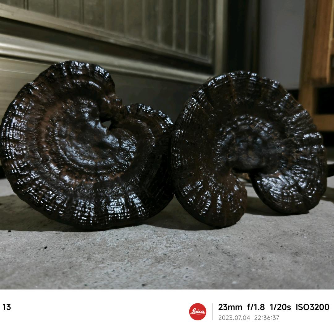 先謀生，後謀財，再謀情。