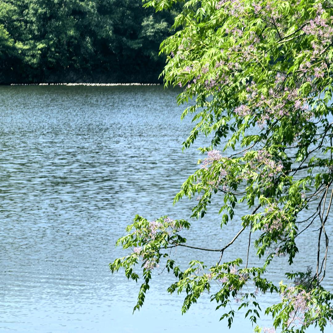 睡眠呼吸综合症