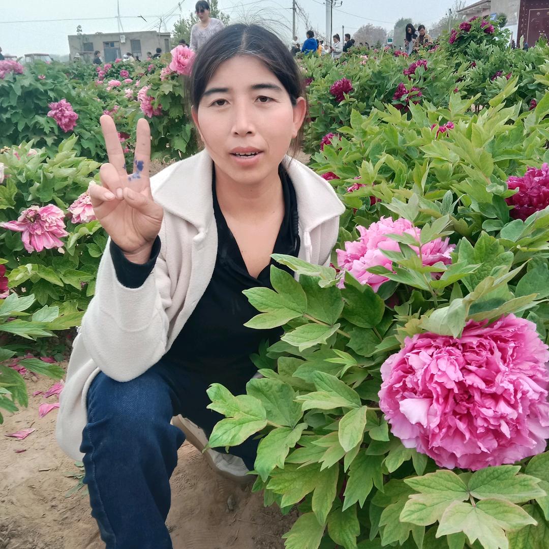 《雒》老四