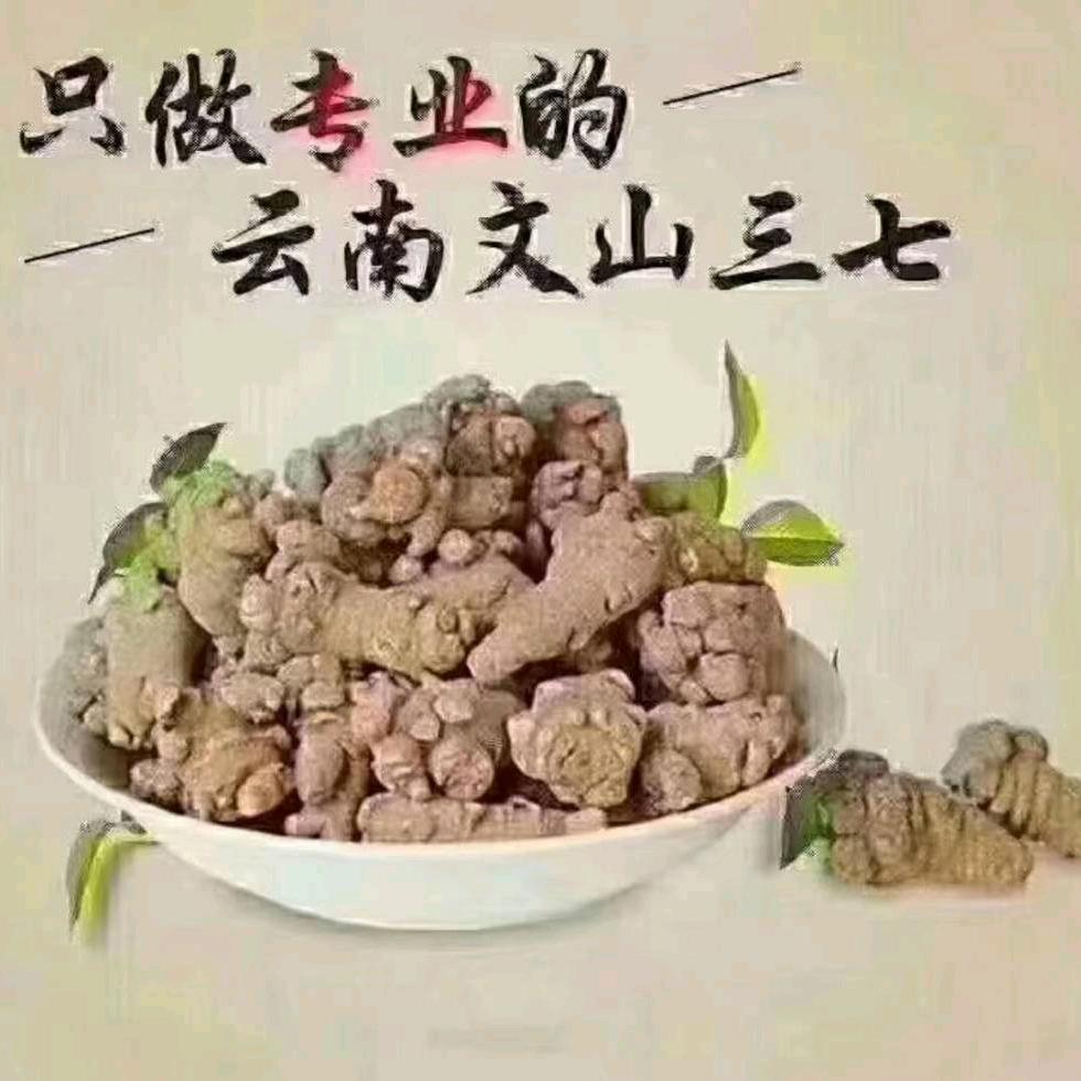 批发三七粉，洋参.高丽参等等