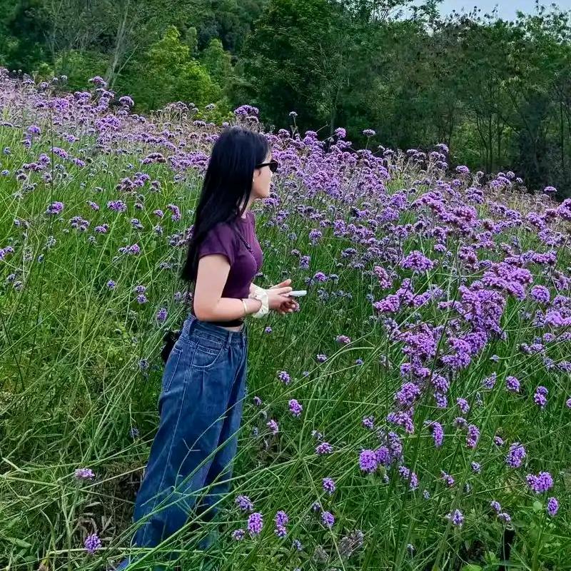 往事☘️随风