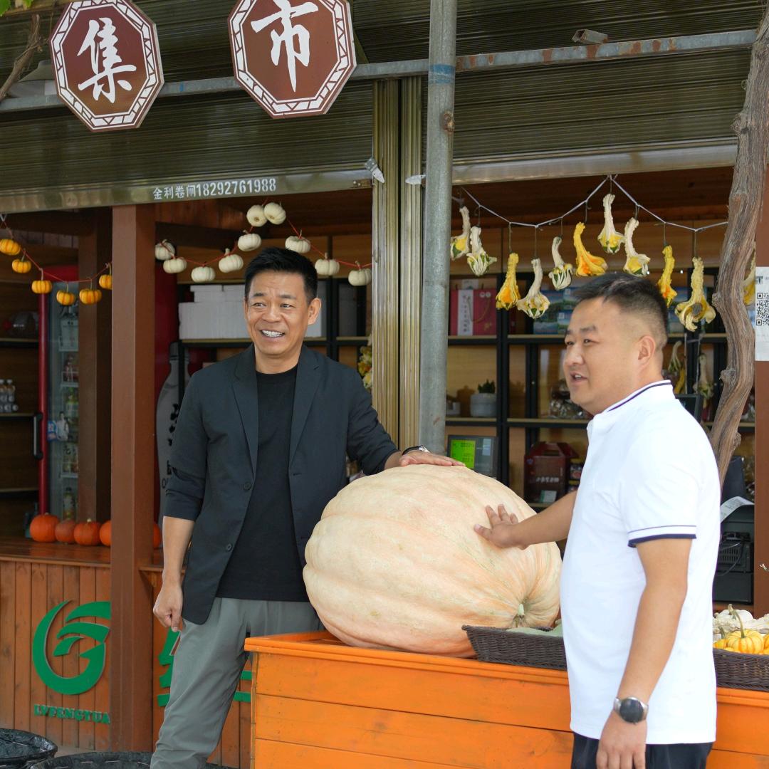 绿丰源金龙