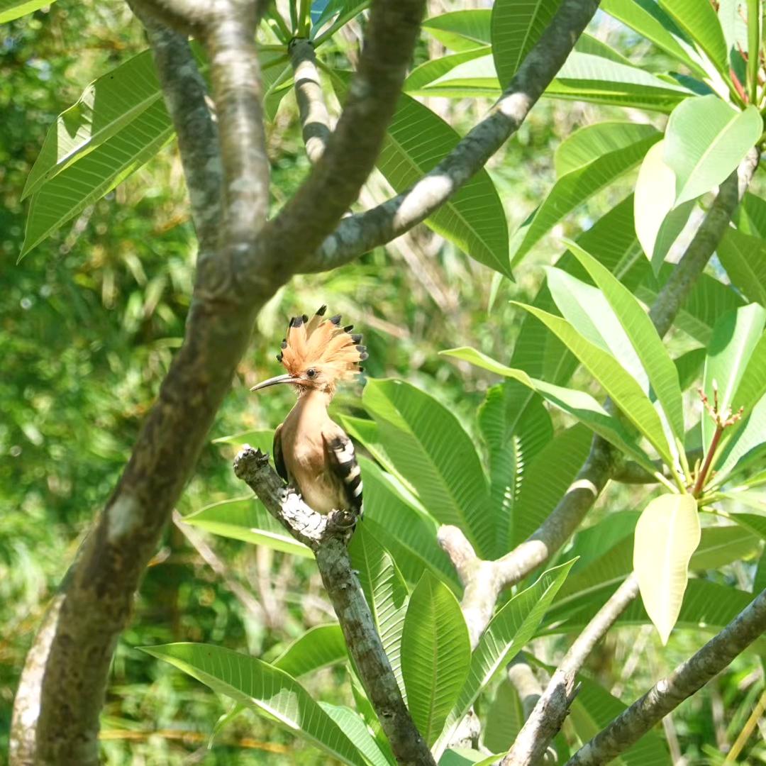 定语从句他舅的英语课堂
