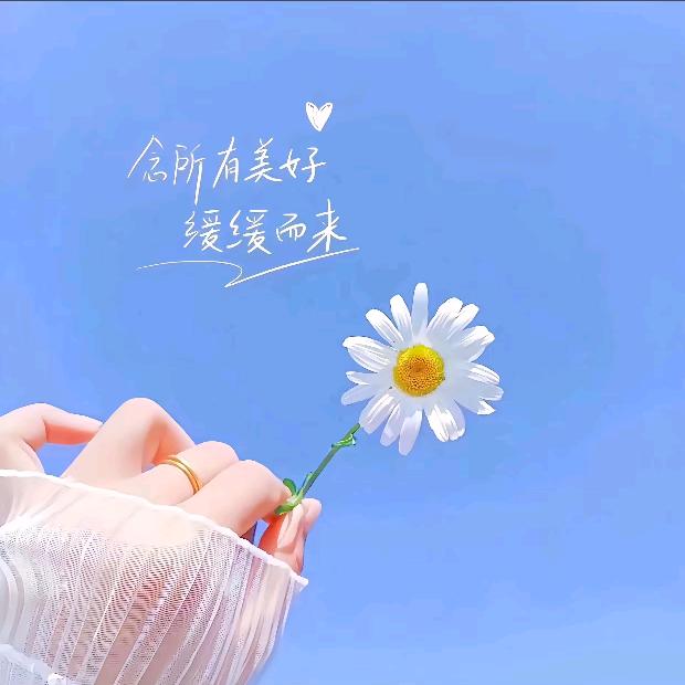 ᭄ꫛ心想事橙🍊