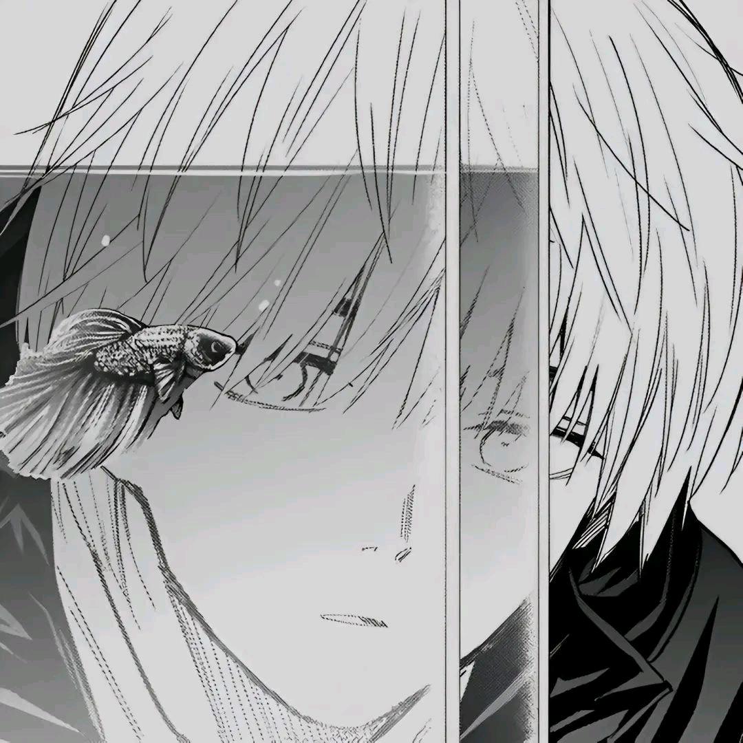 小赵🥀