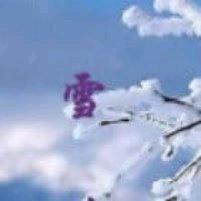 素心若雪