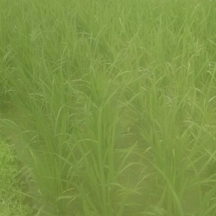 同人不同命
