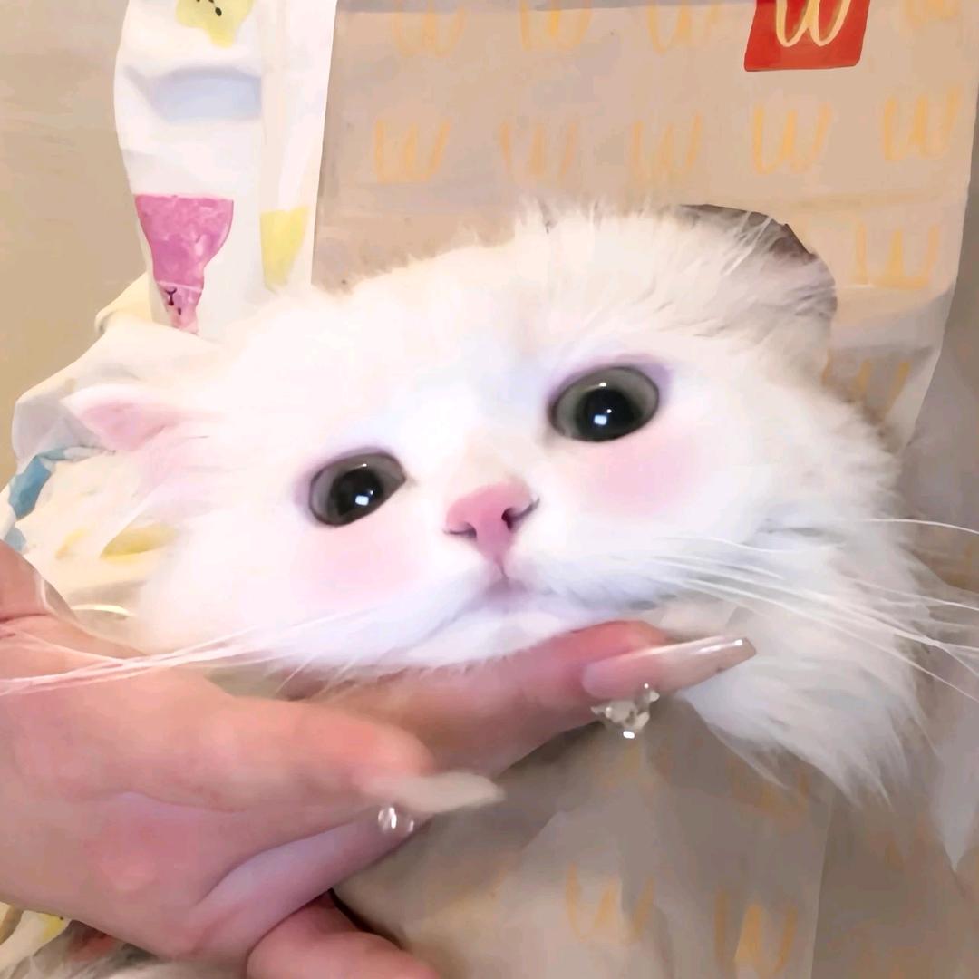 ○kk