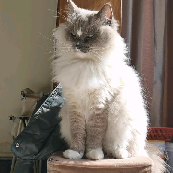 机灵小不懂(=_=)