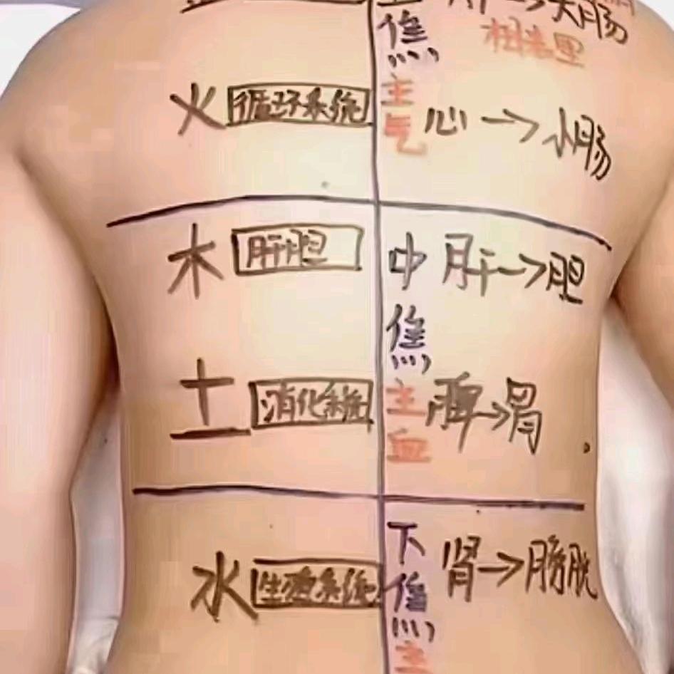 68团建飞养生园