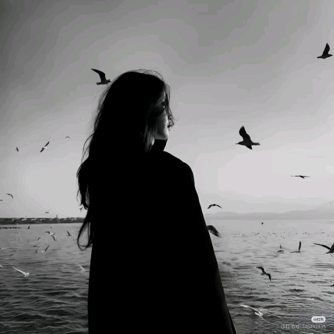宝宝