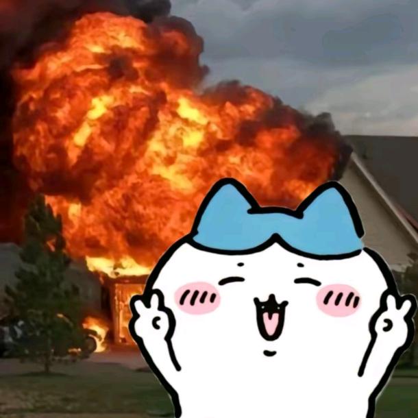 毁灭世界的tomato