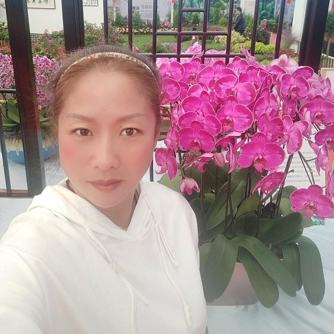 安逸姐姐