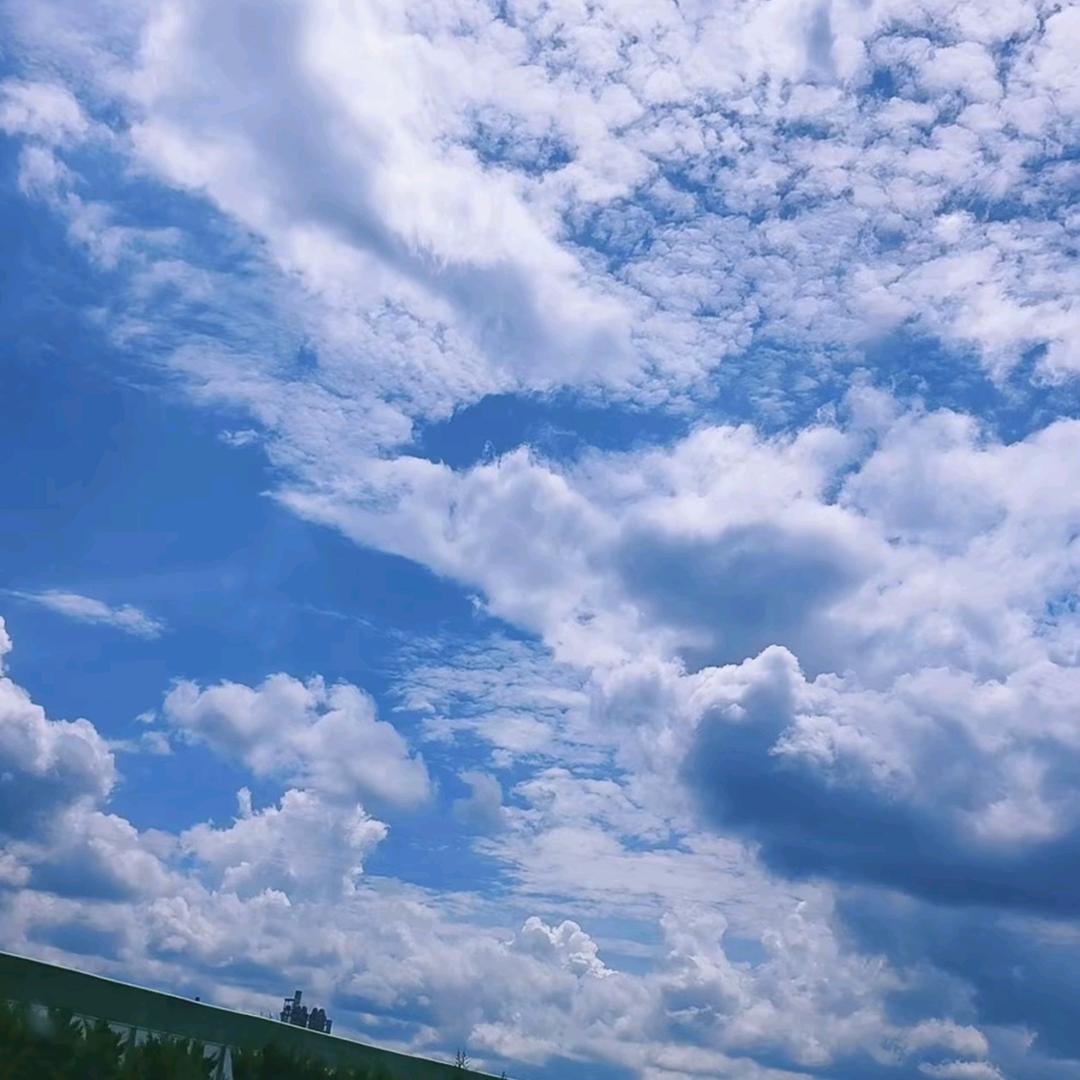 এ᭄²⁰25໑ ℋღ᭄奋~斗᭄