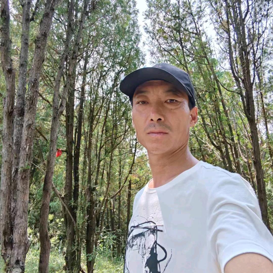 讨厌酒爱上醉