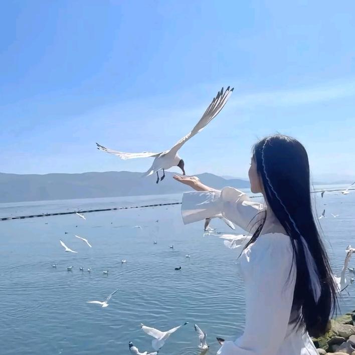 零碎小羊羔