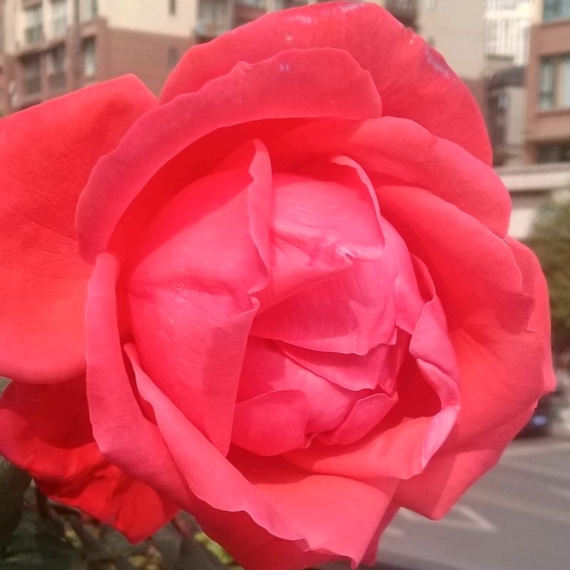 最美的相遇❤️