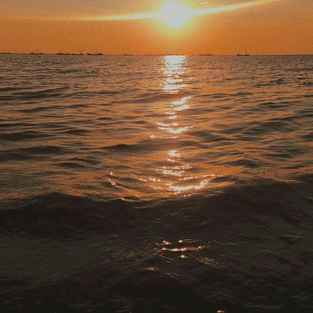 吃葡萄不吐葡萄皮