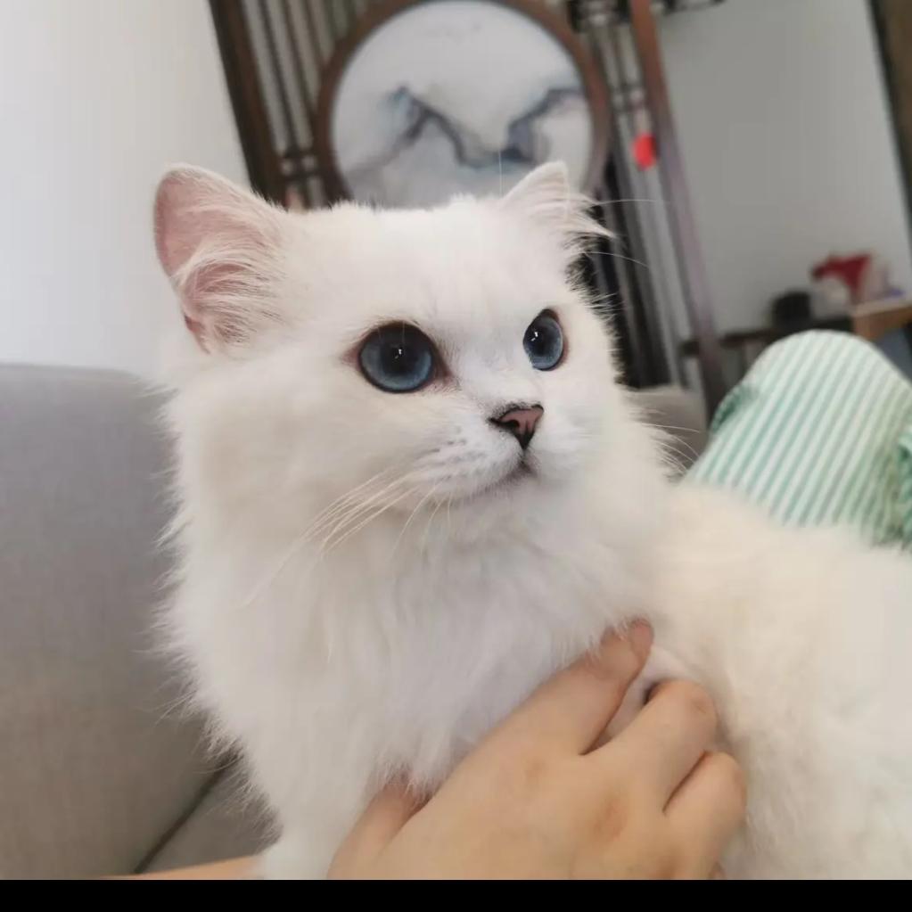 Lu麻麻