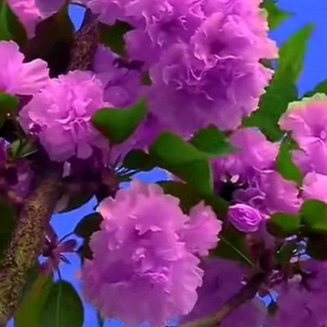 温暧