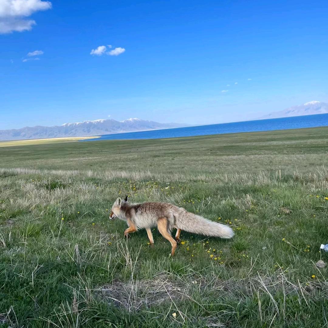 东山再起！！👮🧕