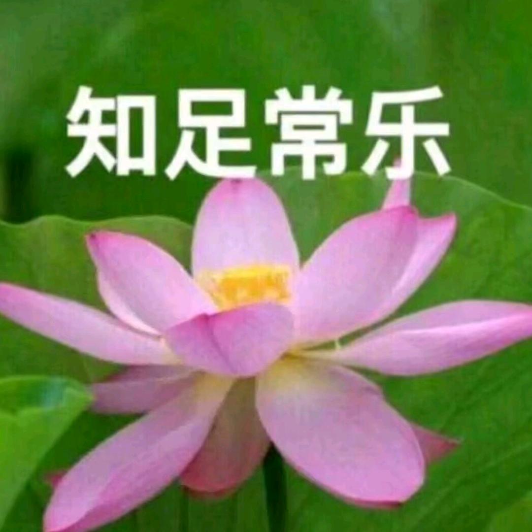 月野小兔🐰
