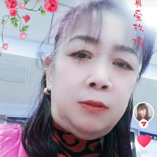 乐乐