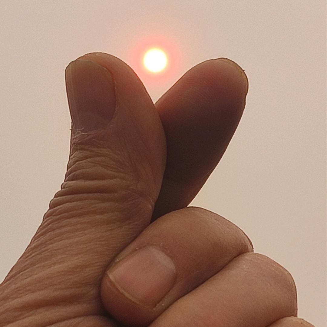 为你停刘