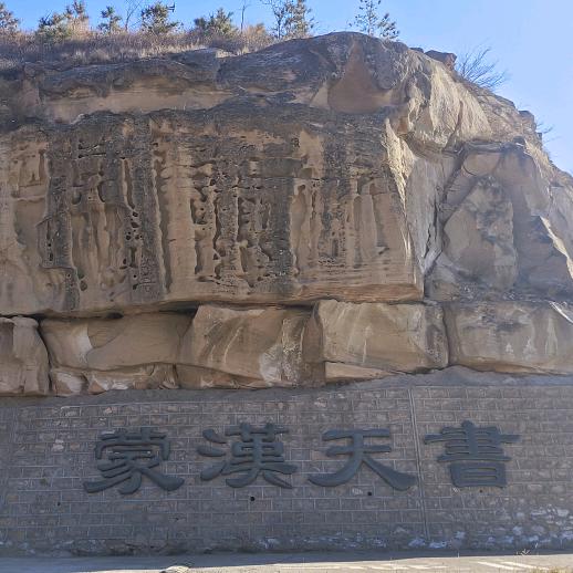 糊涂蛋
