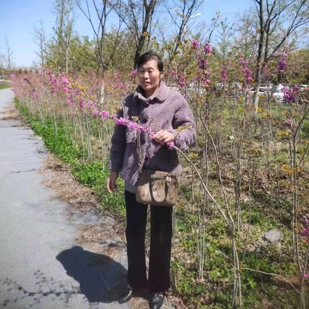 梅姐
