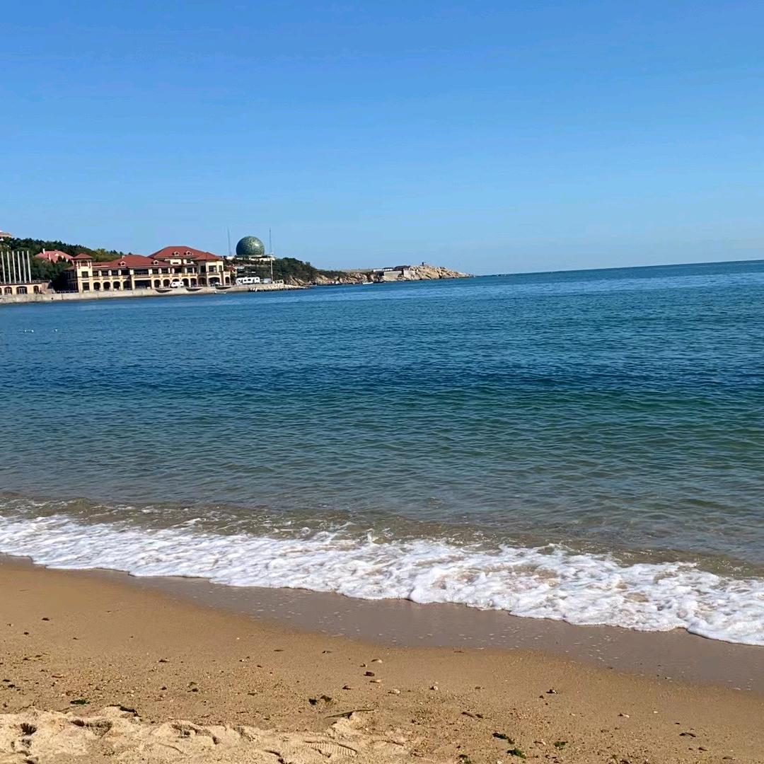 飞翔在夜空中的乌鸦