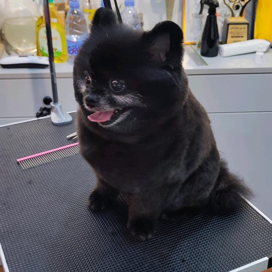 汪de福宠物生活馆