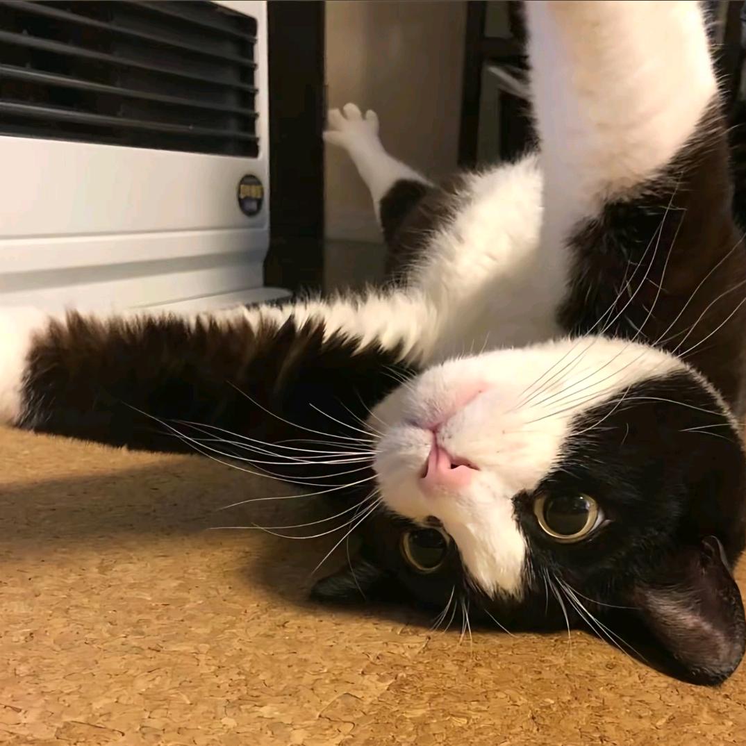 yuki