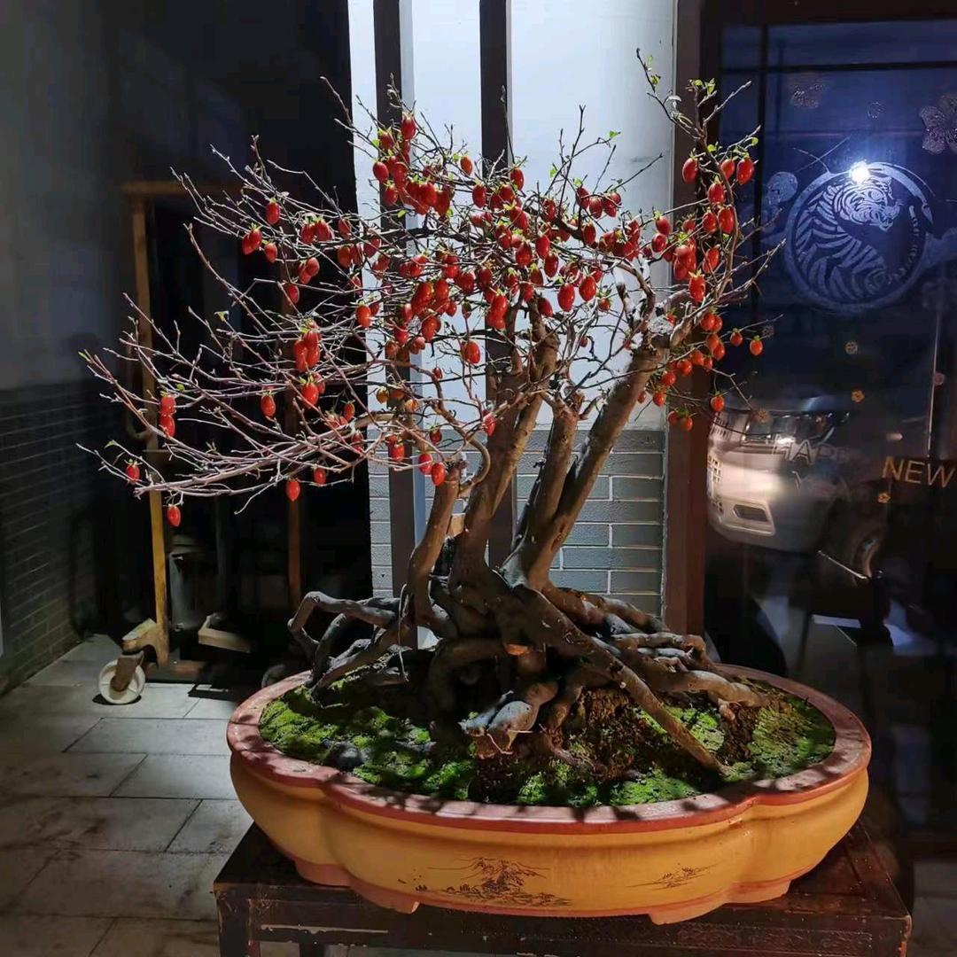 小马灵璧石   小号