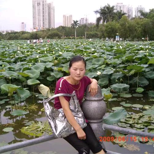 丽菲