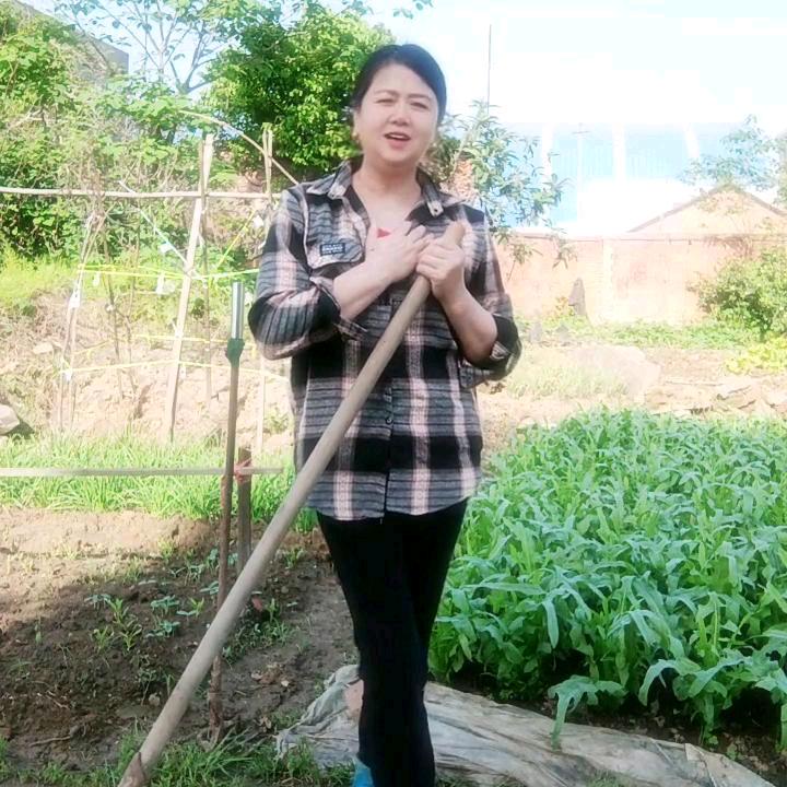 平子姐爱种菜