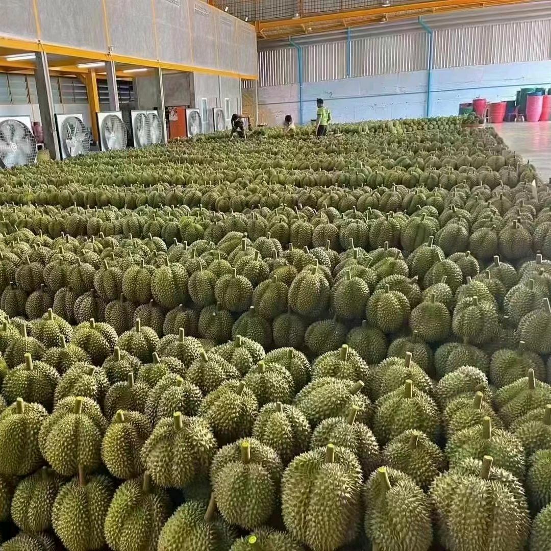 佳禾榴莲屋