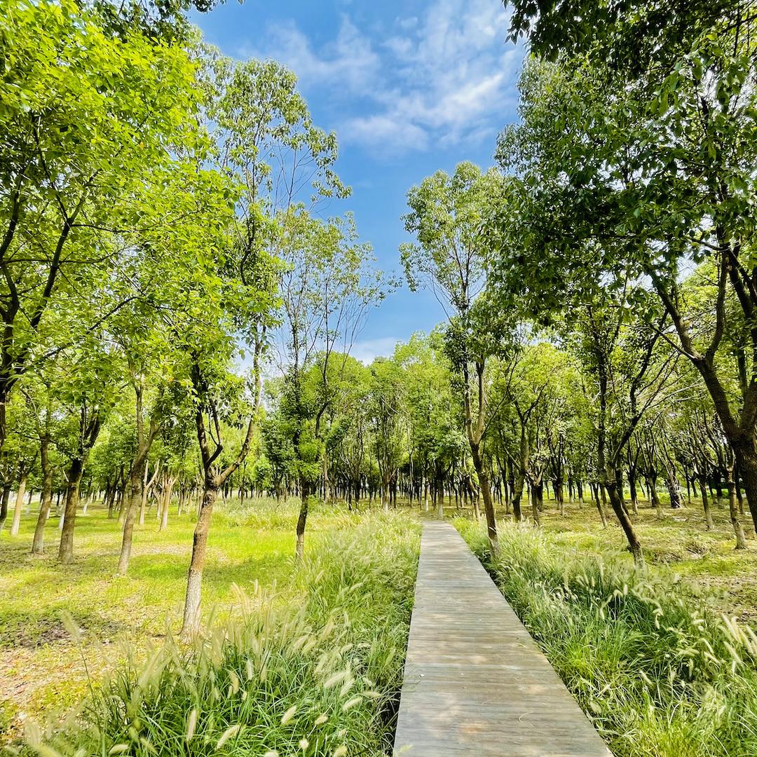 手机用户80010748044