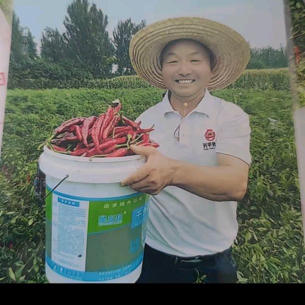 @@老厂长石碾辣子面(兴平市刘三哥)